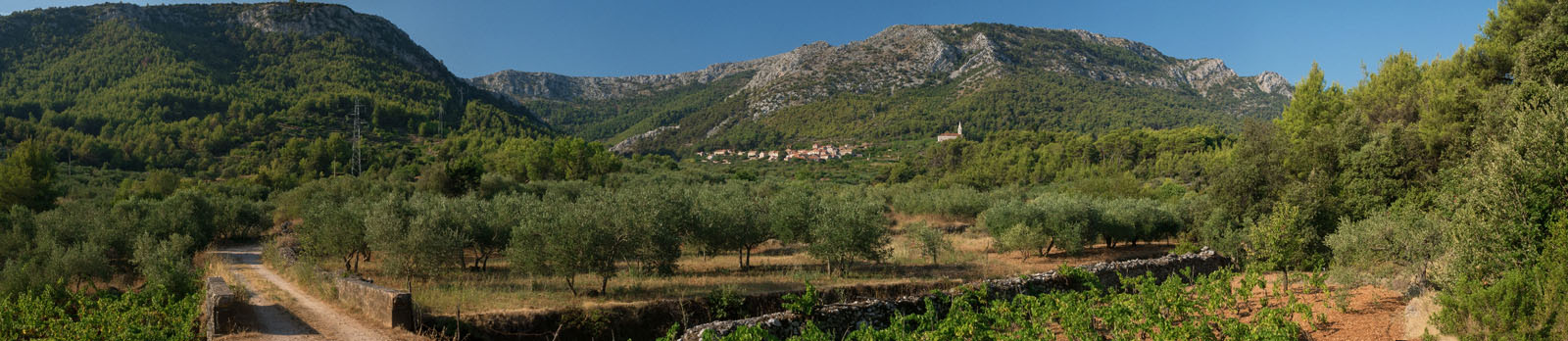 PITVE3 PANORAMA